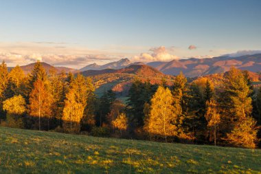 Rolling Hills 'te Sonbahar Güneşi: Altın Ağaçları ve Uzak Tepeleri olan Manzaralı Dağ Manzarası. Slovakya, Avrupa 'daki Mala Fatra Milli Parkı.