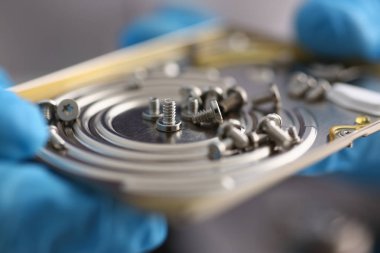 Küçük cıvata makro geri yüklemek için onarım dükkanda kaldırıldı.