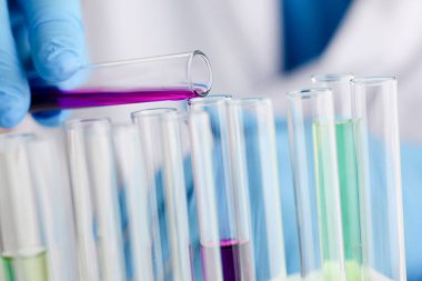 Bir erkek kimyager tüp cam içinde tutar