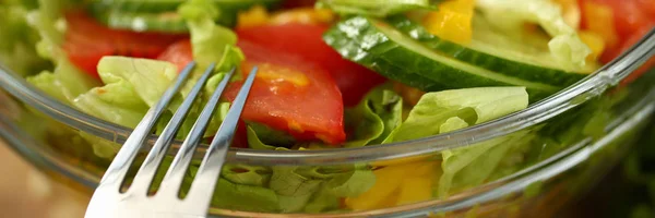 Fourchette en argent dans une assiette mélange salade de légumes frais — Photo