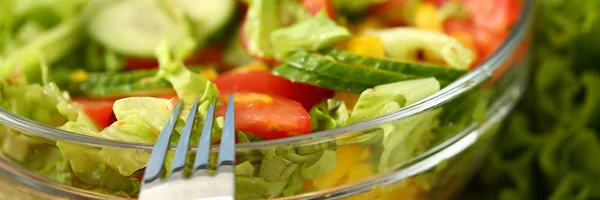 Fourchette en argent dans une assiette mélange salade de légumes frais — Photo