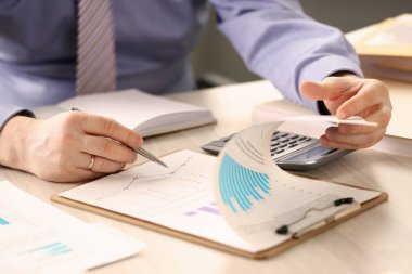 Mali Denetçi Raporu Hesap Bakiyesi