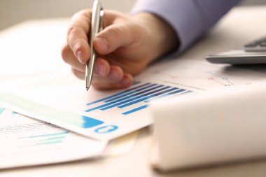 İşadamı Kontrol Fiyatları Muhasebe Gelir