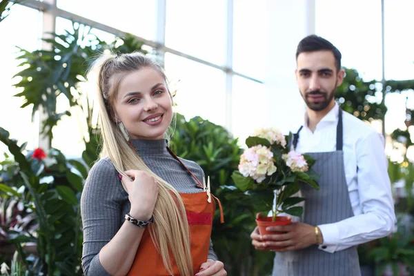 Happy Woman and Man Florist at Home Plant Shop — Stock Photo, Image