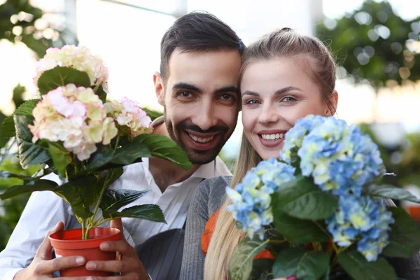 Två trädgårdsmästare visar Hydrangea blomma porträtt — Stockfoto