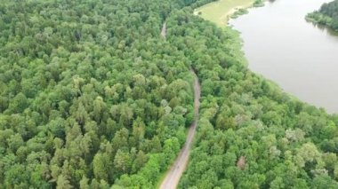 Video 4k quadrocopter drone hava ormanı