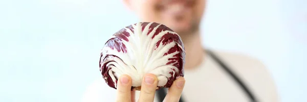 Professional Chef Holding Organic Purple Cabbage