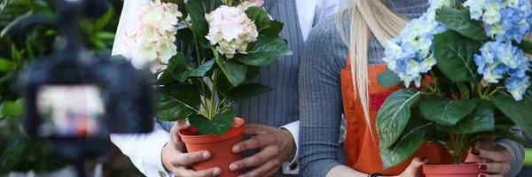 Florist Blogger Showing Hydrangea Flower on Camera — Stock Photo, Image