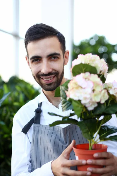Smiling Man Florist with Flower Hydrangea Portrait — Stock Photo, Image