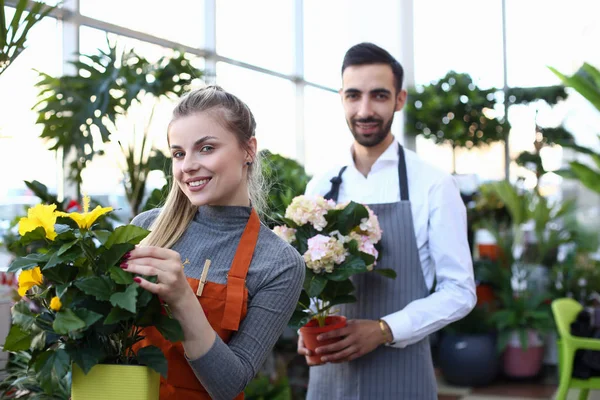 Smiling Florist Holding Blooming Flowers in Pot — Stock Photo, Image