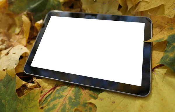 tablet lies on the fallen yellow leaves background