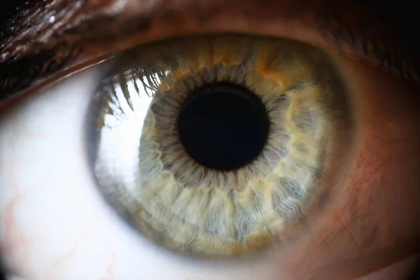 Szoros szemvizsgálat, egészséges zöld emberi pupilla, szemdiagnózis — Stock Fotó