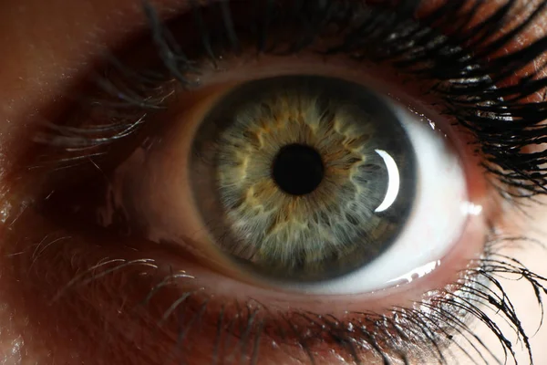 Närbild av kvinnliga ögat som stirrar på kameran — Stockfoto