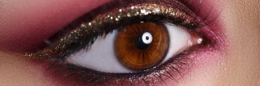 Beautiful make-up in oriental style, eye closeup.