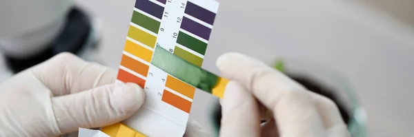 Litmus paper shows acidity, chemical analysis — Stockfoto