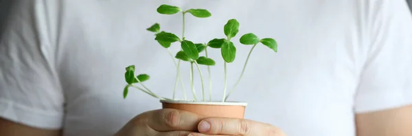 Closeup man holds glass with sprouted small herbs — Stockfoto