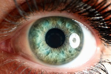 Doğal kirpikli insan gözü dümdüz bakıyor.