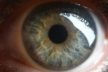 Gri mavi rengin geniş açık gözü