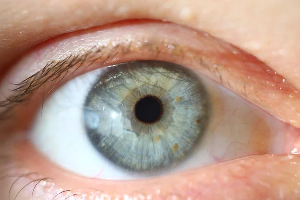 Крупным планом глаза и здоровый мужской зрачок голубого цвета — стоковое фото