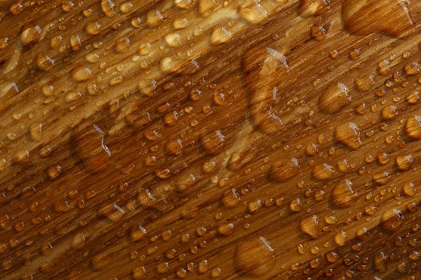 Naturlig brun bakgrund — Stockfoto