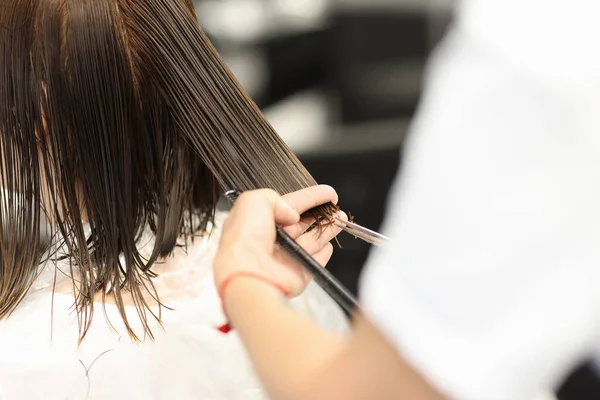 Mestre segura extremidades molhadas do cabelo e corta-los. — Fotografia de Stock