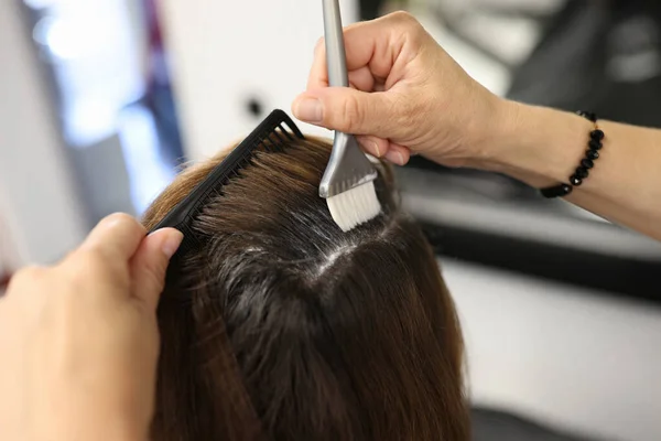 Cabeleireiro aplica tintura de cabelo aos clientes cabelo com escova no salão de beleza — Fotografia de Stock