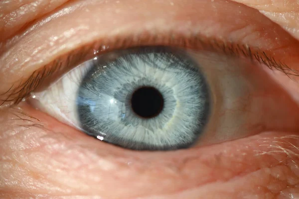 Ojo humano azul con primer plano de pupila negra. — Foto de Stock