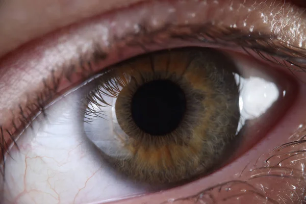 Ojo humano con pestañas córnea y primer plano de la pupila — Foto de Stock