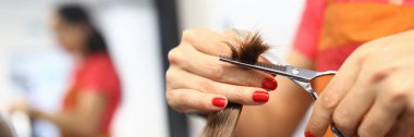 Female hairdresser hand hold strand of hair closeup clipart