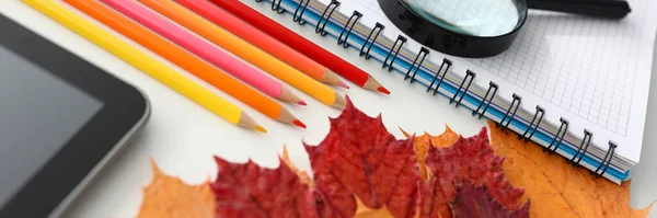 Multi-colored pencils and fallen leaves of Lena lie on white school desk background