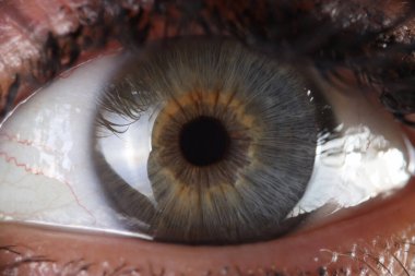 Gözbebeği ve kornea yapısının insan gözü ve anatomisi