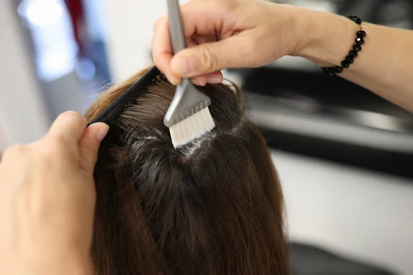 Master applies hair dye to female hair with brush — Stock Photo, Image