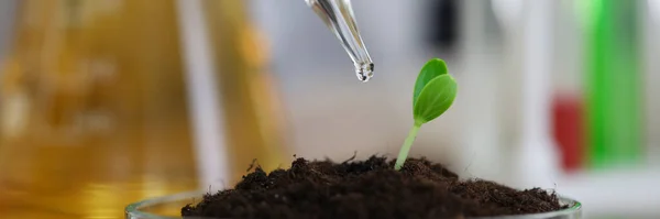 Prueba moderna de laboratorio y ciencia —  Fotos de Stock