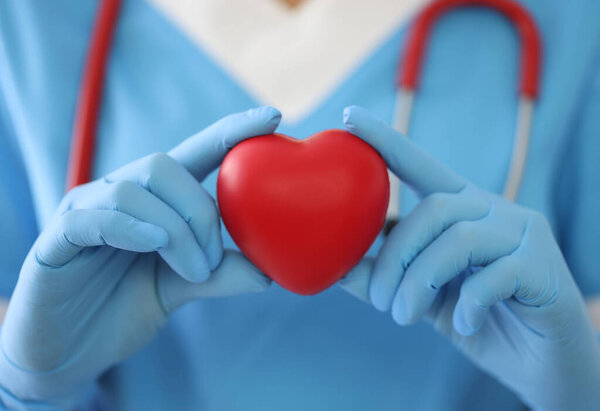 Doctor in medical gloves holds toy heart close-up