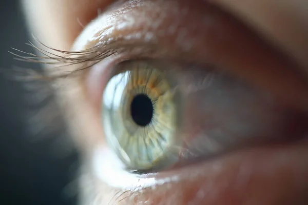 Lidské oko s řasami ve světle detailní záběr — Stock fotografie