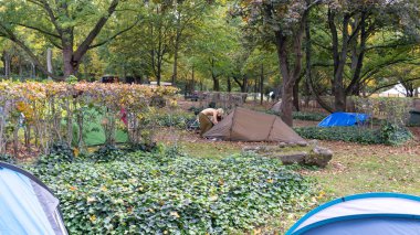 Berlin / Almanya - 12 Ekim 2019: Berlin 'deki Bundestag yakınlarındaki protesto kampında Yok Olma İsyanı Eylemcileri. İklim aktivistleri, Merkel 'in ofisinin önünde protestolar için bir kamp kurdular..