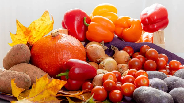 Natural products and harvest in the autumn. Still life from fresh vegetables -yellow, red and orange peppers, small tomatoes cherry, onion, sweet potatoes, black potatoes, pumpkin on light.