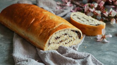 haşhaş çekirdeği bir taş gri yüzey üzerinde roll, çekim