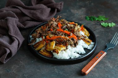 Latin Amerika yemekleri. Ropa Vieja kızarmış plantains ve pirinç ile. carne desmechada, carne desmenuzada, Şili, Kolombiya, Kosta Rika, Küba, İspanya, Honduras, Meksika carne mechada tipical gıda