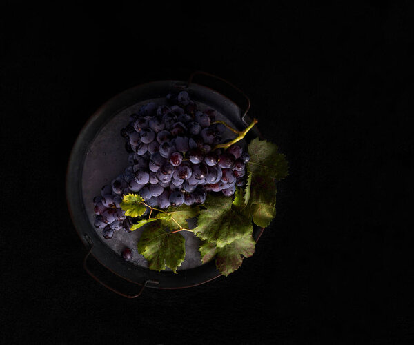 dark bunch of grape with water drops in low light, red wine, dark photo with copy space