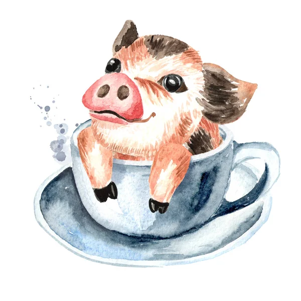 Stockfotos Teacup Schwein Bilder Stockfotografie Teacup Schwein Lizenzfreie Fotos Depositphotos