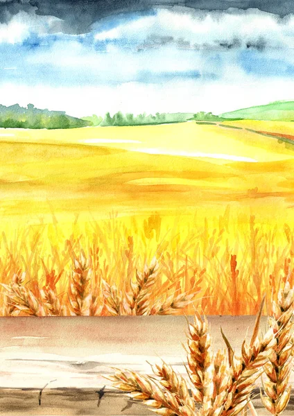 麦畑 イラスト写真素材 ロイヤリティフリー麦畑 イラスト画像 Depositphotos