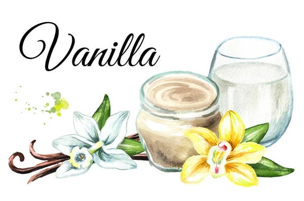 Vanilla card. Watercolor hand drawn illustration  isolated on white background