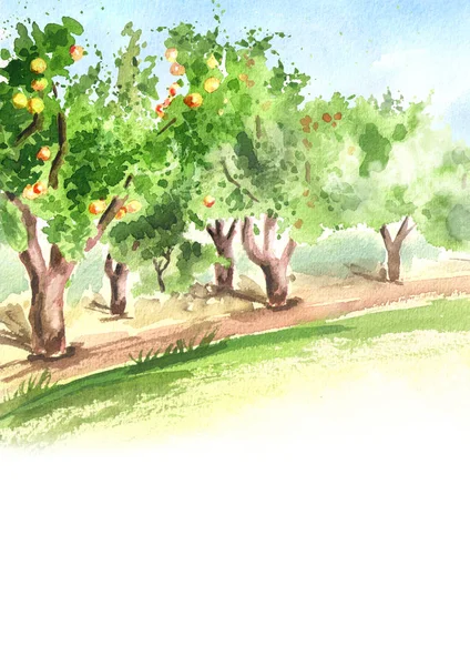Apple garden in perspective. Hand drawn watercolor vertical background and template