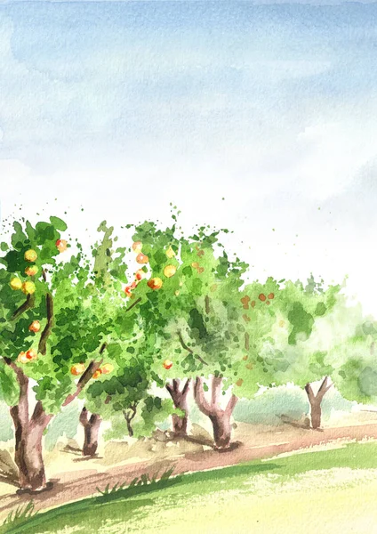 Apple garden in perspective. Hand drawn watercolor vertical background