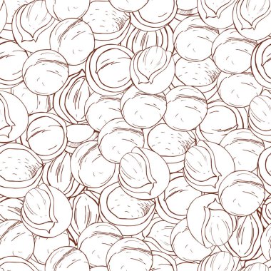 El yapımı fındık. Macadamia fındığı. Vektörsüz desen