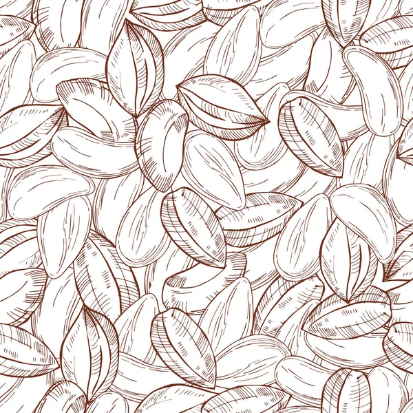 Hand drawn nuts. Brazil nut. Vector  seamless pattern — Stock Vector