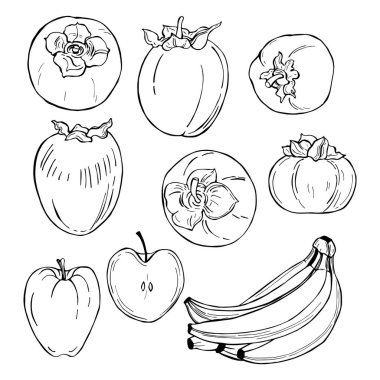 Beyaz arka planda elle çizilmiş meyveler. Hurması, elma, muz. 