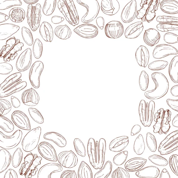 Vector background with hand drawn nuts. — Stock Vector