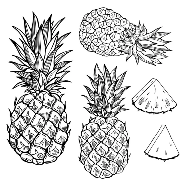Frutos desenhados à mão sobre fundo branco. Abacaxi . — Vetor de Stock
